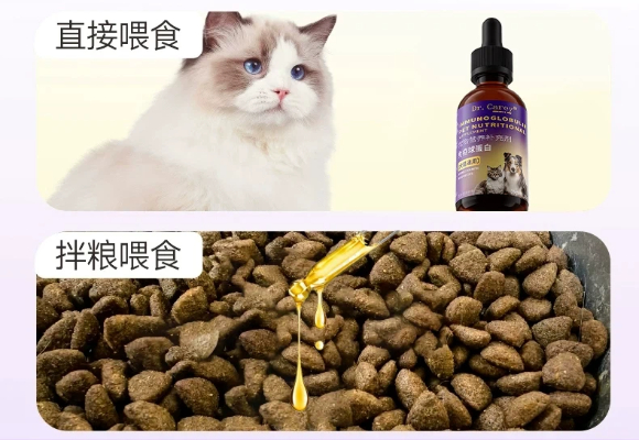 救助站义工必看！猫细小吃什么药？Dr Carey凯瑞博士成康复关键