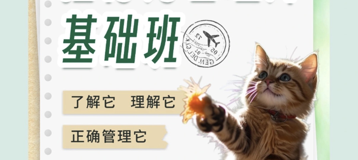维尔福宠物课堂是正规的吗 维尔福宠物课堂是正规的吗