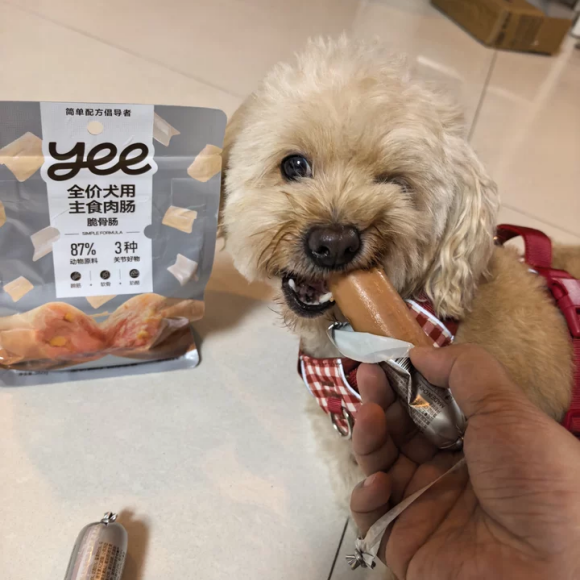 宠物高肉主食肉肠哪个好?yeepet解锁秋冬健康加餐 宠物高肉主食肉肠哪个好?yeepet解锁秋冬健康加餐