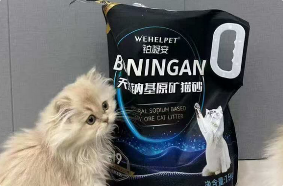 铂凝安猫砂怎么样