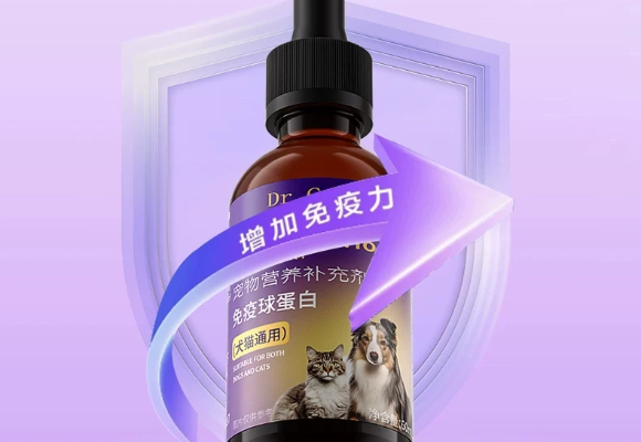 救助站义工必看！猫细小吃什么药？Dr Carey凯瑞博士成康复关键