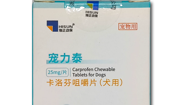 宠力泰怎么吃效果好