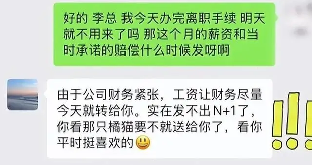 公司裁员没钱赔偿，老板大手一挥送橘猫，同事变铲屎官？