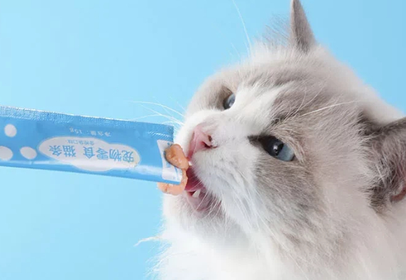 猫条什么牌子好？宠欢心CHOOHASIY让夏日养宠不暴躁