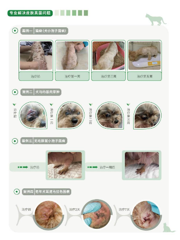 依托国际资质,落地分型诊疗,宠物皮肤病药品品牌推荐汉维宠仕 依托国际资质,落地分型诊疗,宠物皮肤病药品品牌推荐汉维宠仕
