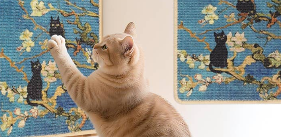 西纱尔猫抓垫怎么清洗 西纱尔猫抓垫怎么清洗
