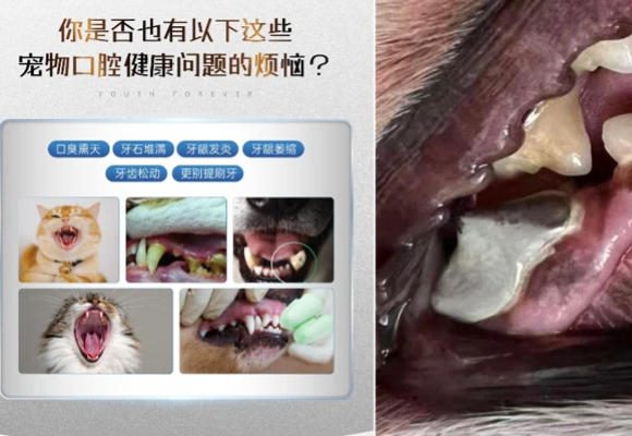 老年狗牙结石怎么去除更安心？萌牙医疗用微生态养护给出安全新解