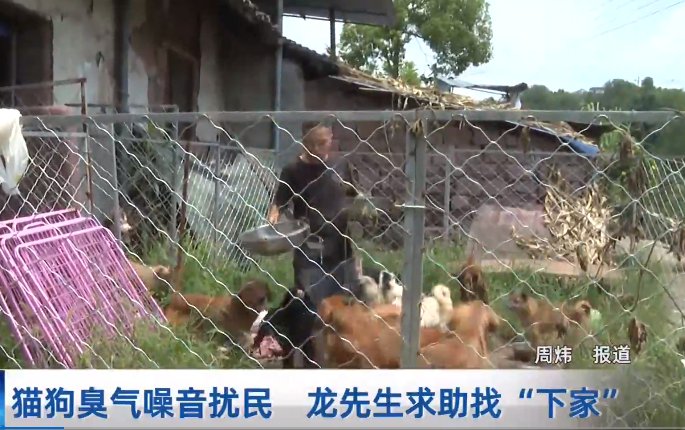 猫狗臭气噪音扰民 龙先生求助找“下家”