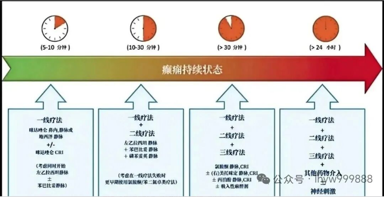 从瘫痪到奔跑,除了药物,我还给毛孩子用了这个“神经营养方案” 从瘫痪到奔跑,除了药物,我还给毛孩子用了这个“神经营养方案”