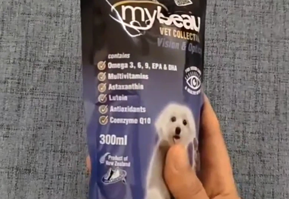 品种易损宠主参考|宠物护眼保健品有哪些?Mybeau兼顾内服养护需求 品种易损宠主参考|宠物护眼保健品有哪些?Mybeau兼顾内服养护需求