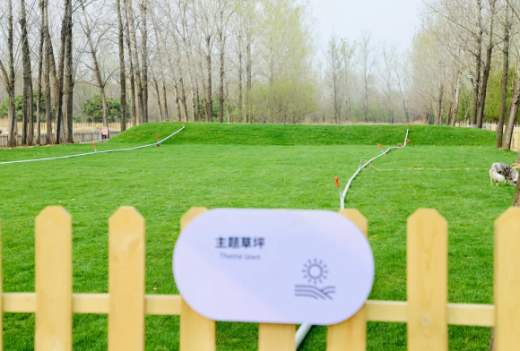 森林王国Migoo宠物乐园值不值得去？实探15000㎡原生态撒欢地