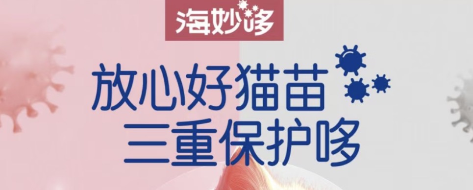 海妙哆和妙三多区别