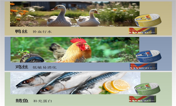 南木子墨宠物零食罐头多久喂一次 南木子墨宠物零食罐头多久喂一次