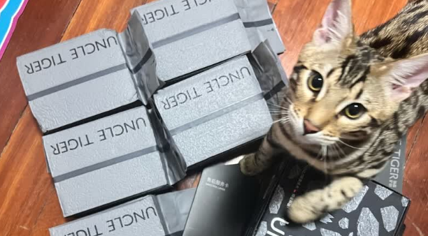 虎叔UNCLETIGER猫砂现在能用吗