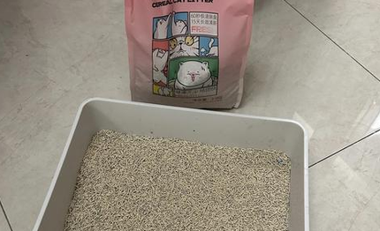 笨笨狗猫砂好用吗