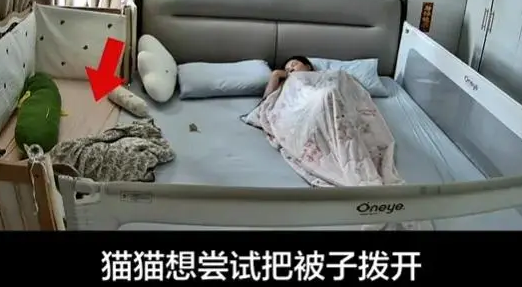 报恩小猫！婴儿被子蒙头差点窒息，小猫扒醒宝妈立大功！