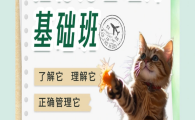 维尔福宠物课堂是正规的吗