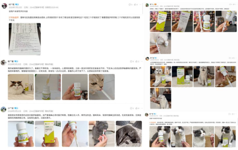 宠物专用药品哪家好？汉维宠仕以国际品质重塑宠药行业认知
