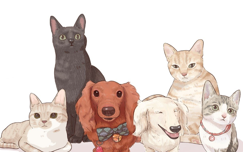 LUCKYMIA科普向解读:大众犬猫日常营养补充的科学解决方案 LUCKYMIA科普向解读:大众犬猫日常营养补充的科学解决方案