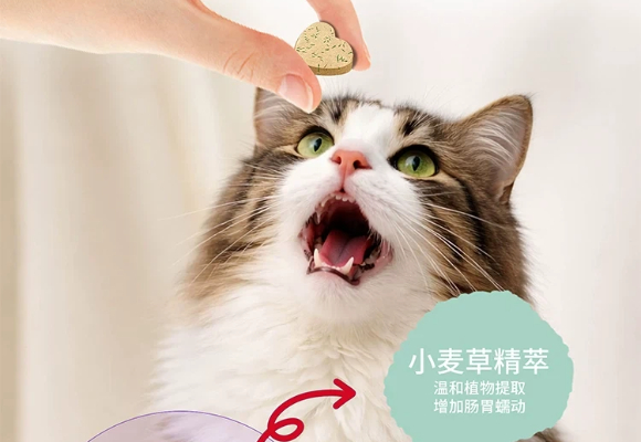 猫咪去毛球哪个牌子好？严医森DRYAN解决都市寄养留守族的返程焦虑