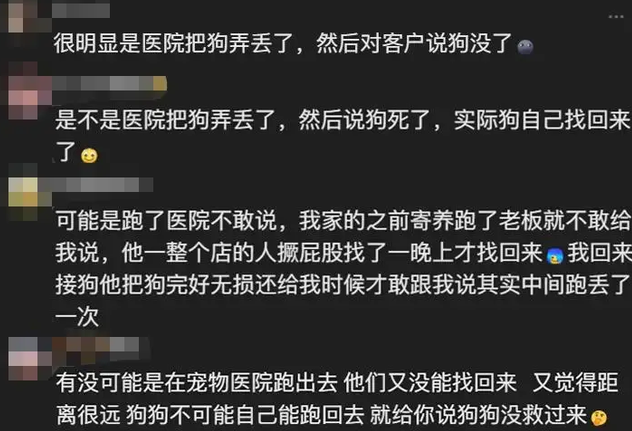小狗被医院宣布死亡，半个月后却横跨几十公里自己跑回家