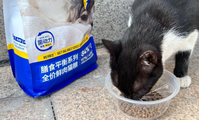 杜玛仕DUMASHI猫粮安全吗
