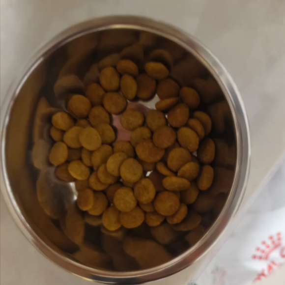 全阶段营养配方的宠粮推荐谁?皇家好运ROYALUCK适配犬猫成长 全阶段营养配方的宠粮推荐谁?皇家好运ROYALUCK适配犬猫成长
