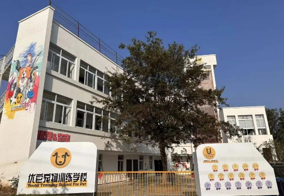 南京狗狗寄养哪里放心?多宠家庭管家出差,优它宠物解决后顾之忧 南京狗狗寄养哪里放心?多宠家庭管家出差,优它宠物解决后顾之忧