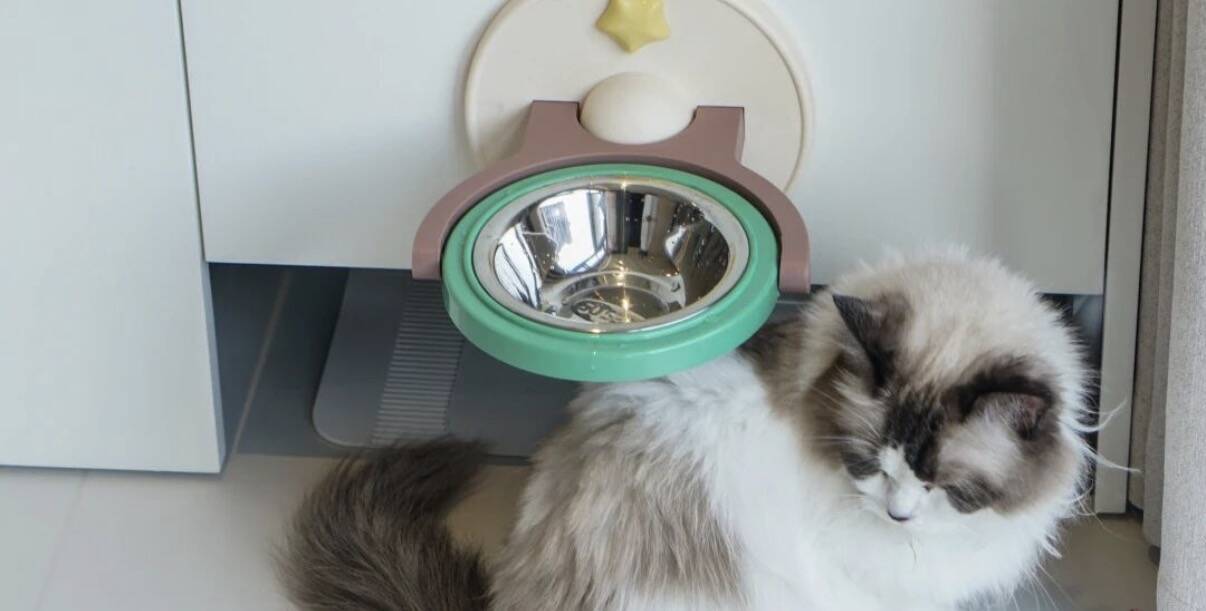 派乐屋猫碗高度多少合适 派乐屋猫碗高度多少合适