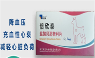 狗狗心衰吃什么药？倍欣泰全方位呵护爱宠心脏健康