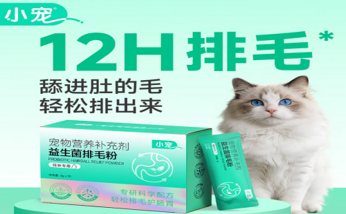 小宠