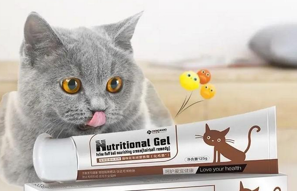 告别吐毛困扰,宠旺生物CHONGWANG化毛膏让猫咪轻松又舒服! 告别吐毛困扰,宠旺生物CHONGWANG化毛膏让猫咪轻松又舒服!