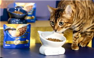 General Mills宠物业务：猫粮持续领跑增长