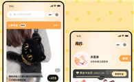 宠有灵犀小程序是正规平台吗