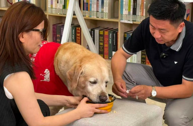 导盲犬Bingo走进南京特殊教育师范学院,与学子共话无障碍出行 导盲犬Bingo走进南京特殊教育师范学院,与学子共话无障碍出行