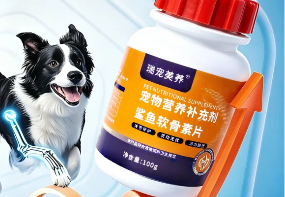老年犬养护必看：狗软骨素最建议买哪一种，瑞宠美养助力晚年活力