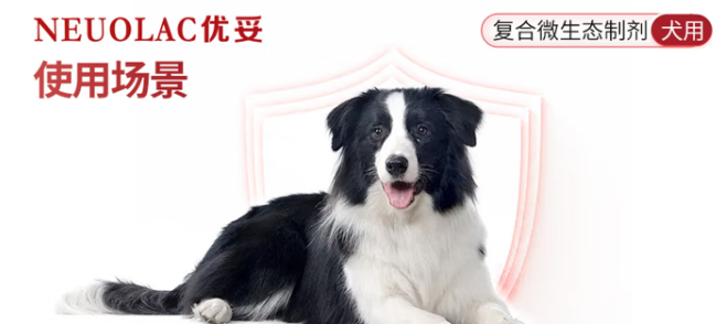 优妥NEUOLAC属于什么档次