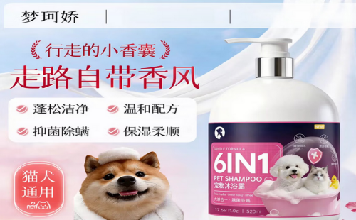 梦珂娇