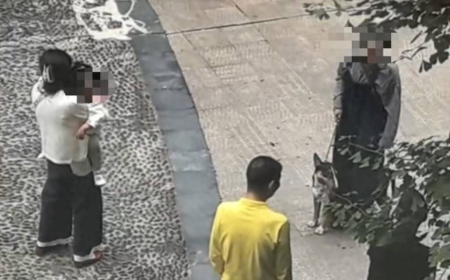 四川仁寿一小区恶犬咬伤多人，物业称事发时未拴绳