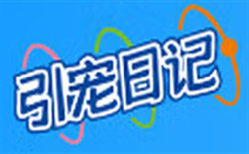 引宠日记
