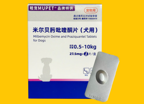 狗狗体内有虫有哪些表现？一粒睦宠MUPET驱杀9种高发虫更省心