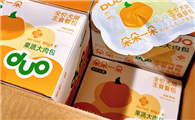 朵朵一朵主食餐包和猫粮哪个更容易消化
