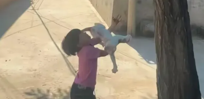 高空小猫坠落，7 岁女孩伸手施救，猫咪悄悄做出暖心一幕