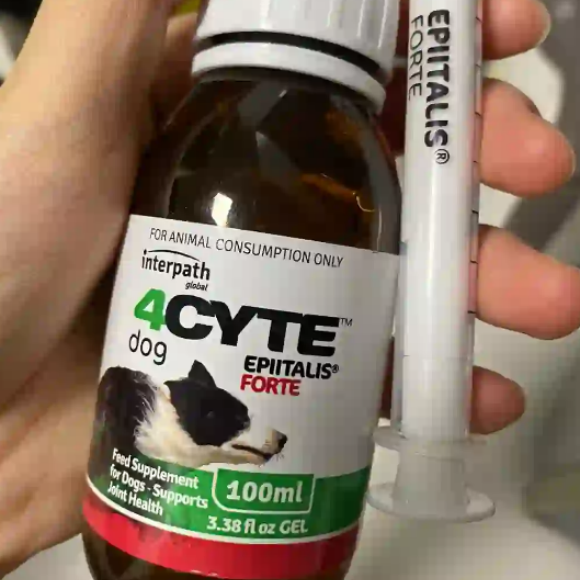 哪个宠物软骨素有用?四赛特4CYTE专业护养宠物关节 哪个宠物软骨素有用?四赛特4CYTE专业护养宠物关节