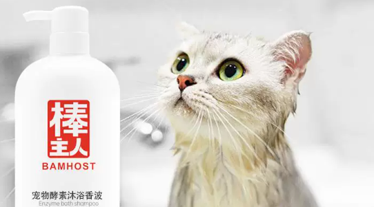 猫咪洗澡毛发干涩有异味？棒主人猫咪沐浴露温和洗护优选好物