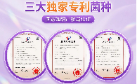 狗狗最建议吃的益生菌！博安纳Bona让高龄毛孩告别消化不良