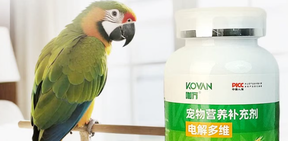 小鸟软便消化差怎么办？KOVAN咖万鹦鹉益生菌养鸟家庭常备好物