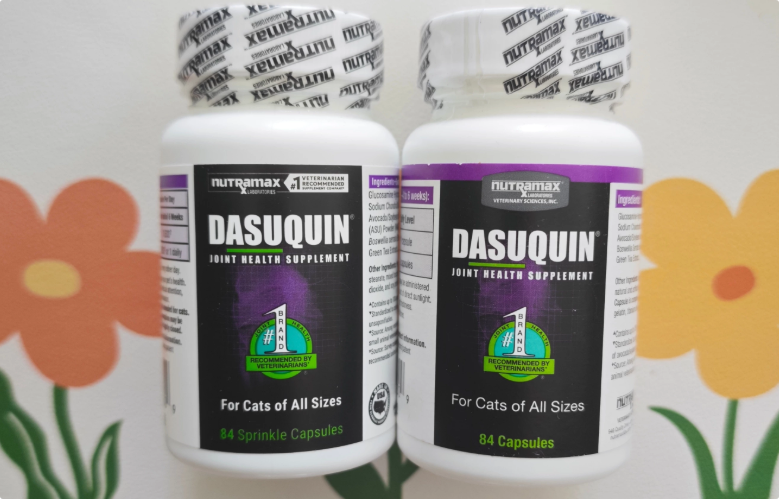 DASUQUIN达仕健猫用软骨素，读懂猫咪关节的隐形养护需求