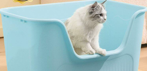 妙昂猫砂盆好不好用