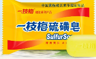 梅雨季遛狗必看！狗狗洗澡香皂推荐一枝梅，告别潮湿异味